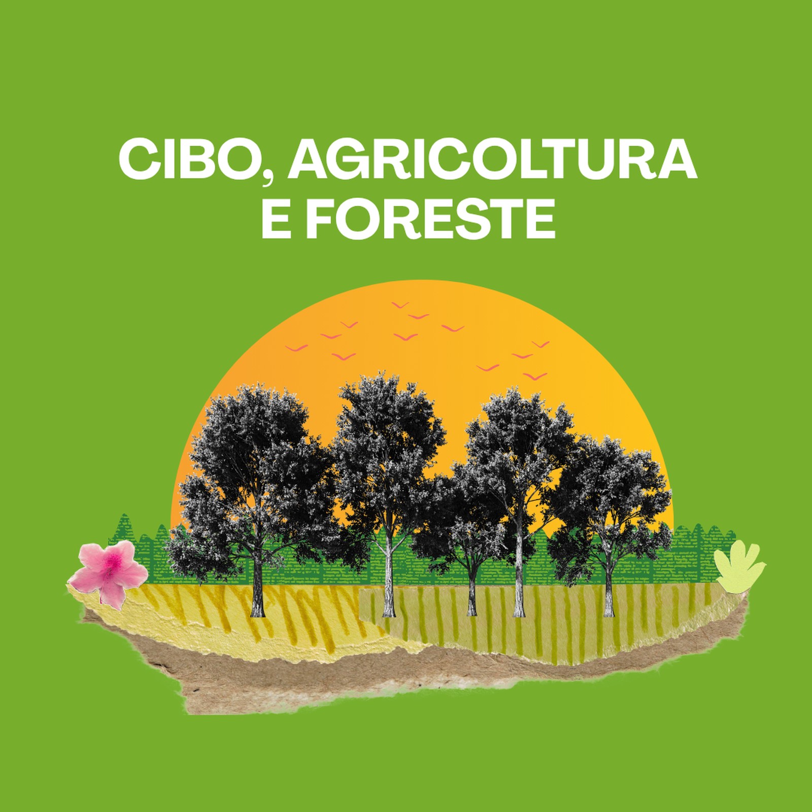 Cibo, agricoltura e foreste